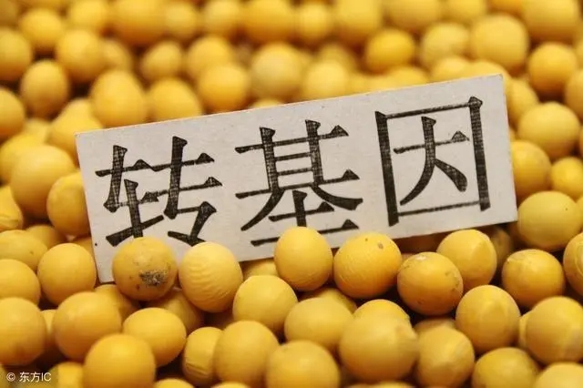 农业转基因生物广告审批海南三亚代办