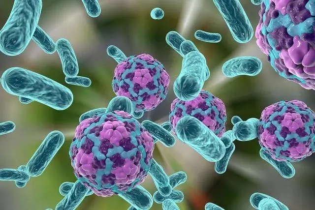 高致病性病原微生物菌（毒）种或样本运输审批海南三亚代办