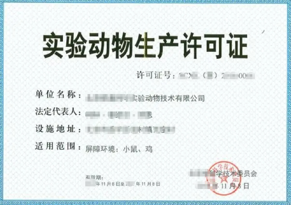 实验动物.png