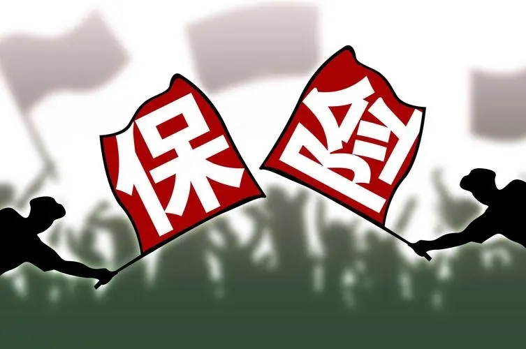 保险.webp.jpg