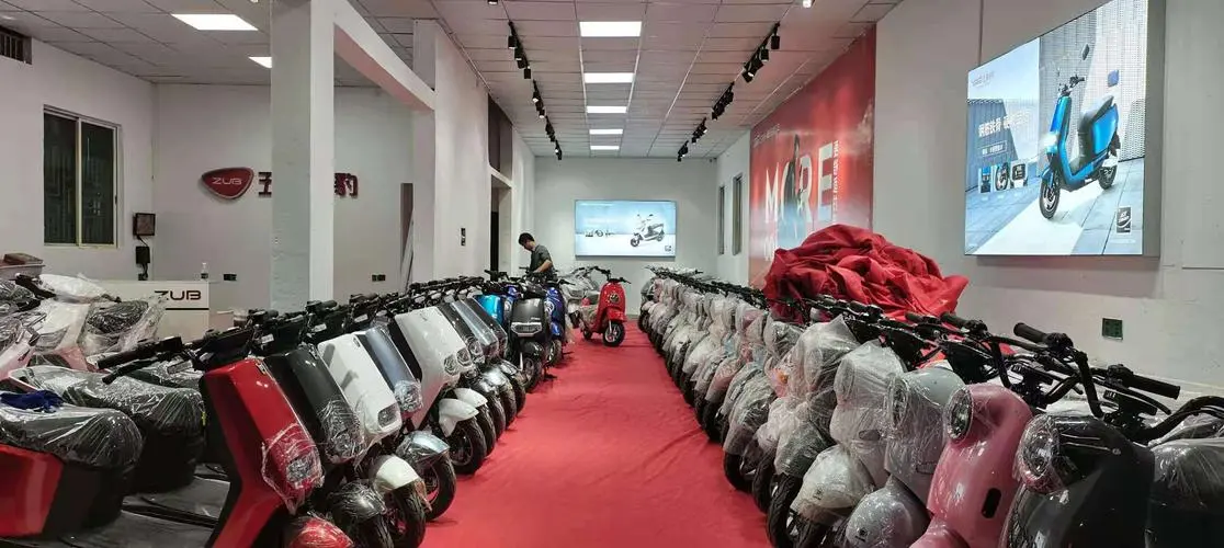 电瓶车专卖店.jpg