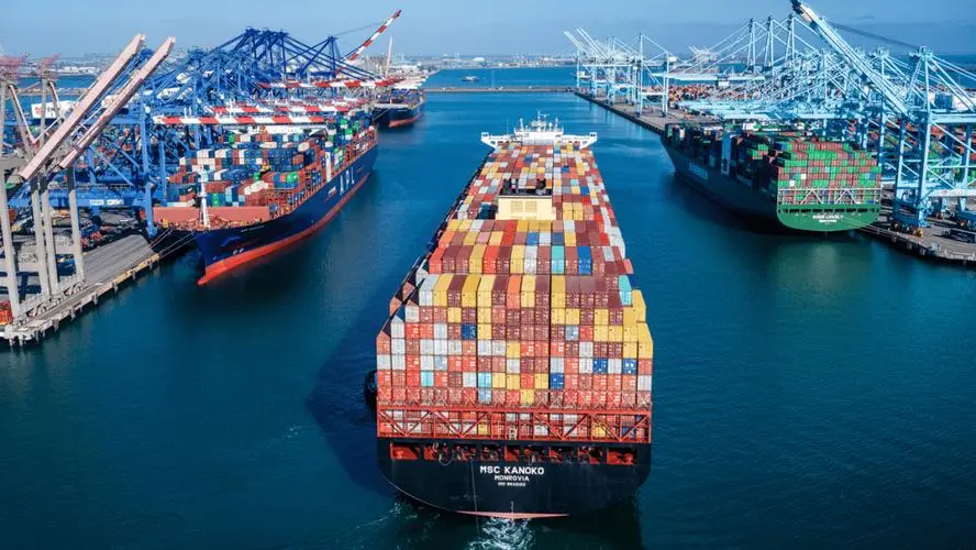 海南货物自动进口许可证办理