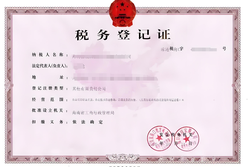 海南税务登记