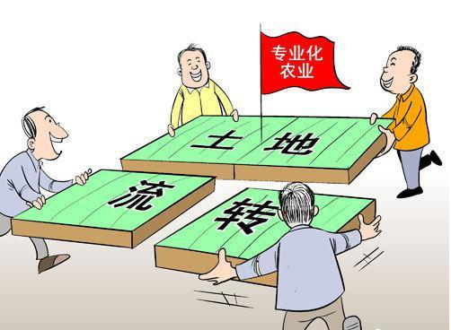 海南集体所有土地与他人联合举办企业用于农业开发许可代办