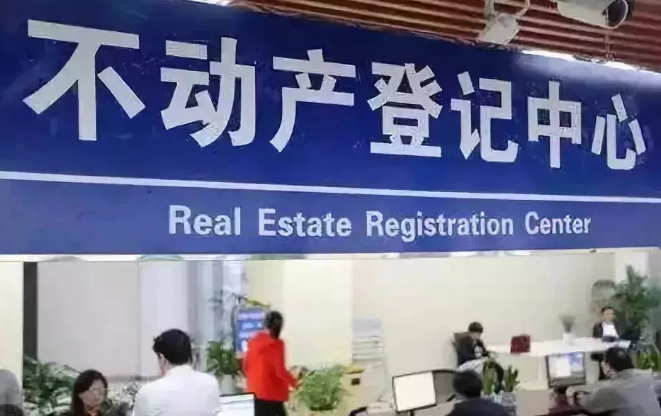 海南三亚地上森林、林木所有权变更代办