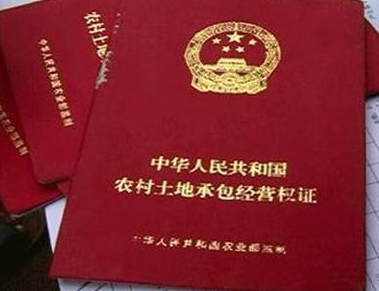 海南三亚地上森林、林木所有权注销代办理