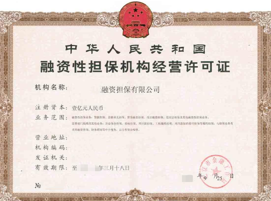 海南融资性担保机构经营许可证办理