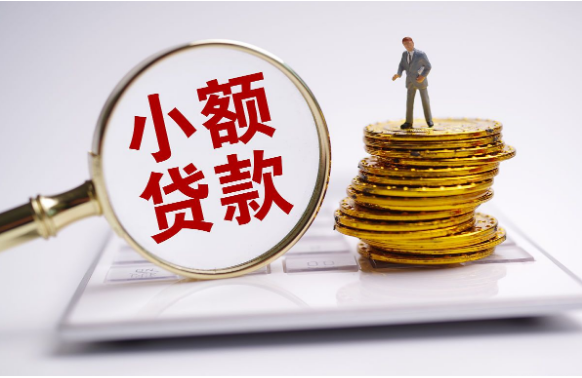 海南小额贷款公司设立分支机构办理