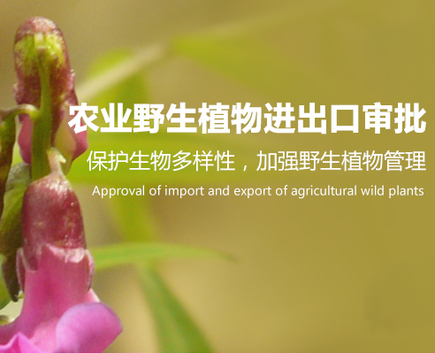 农业野生植物进出口审批-海南/海口/三亚代办理经营许可证-易企算财税公司