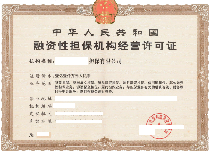 海南融资性担保公司设立审批办理