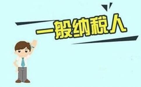 一般纳税人的认定标准是什么?