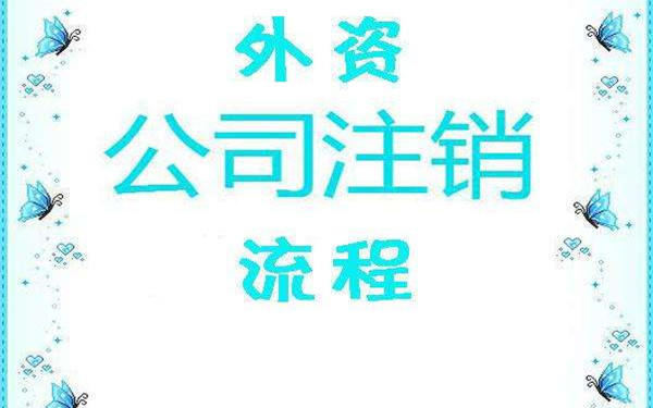 海南外资公司注销流程