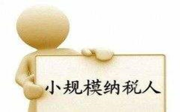 三亚注册小规模纳税人公司的办理流程及费用