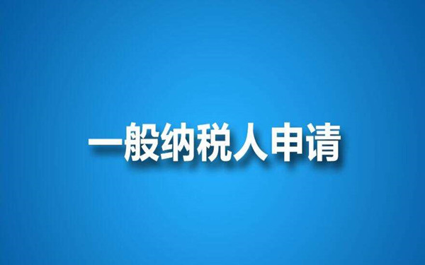 海南一般纳税人申请