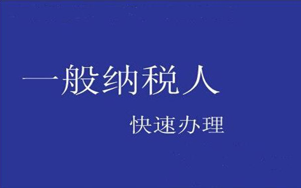 海南一般纳税人申请