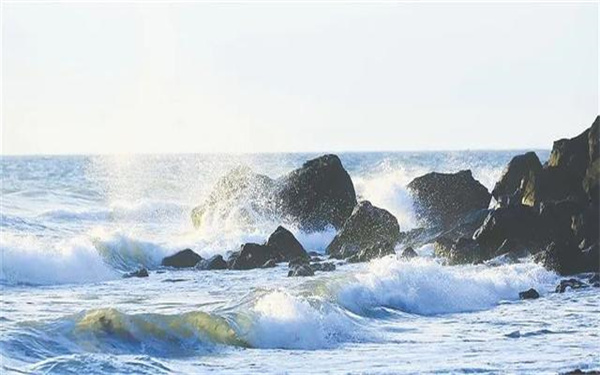 海口公司注册条件